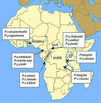 Distribució geogràfica de les espècies de Plasmodium