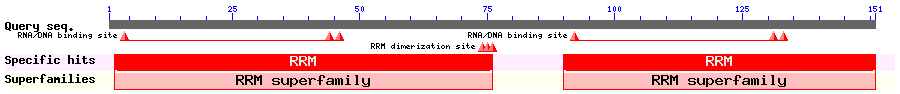 CD search result summary