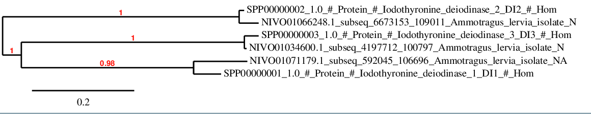Phylogenetic tree of selenoproteins DI family