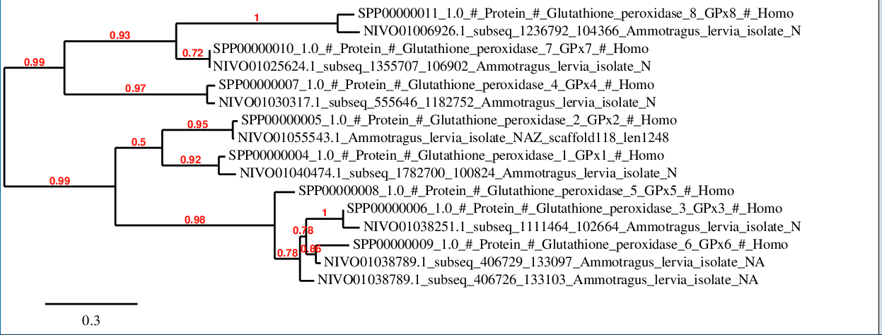 Phylogenetic tree of selenoproteins GPx family